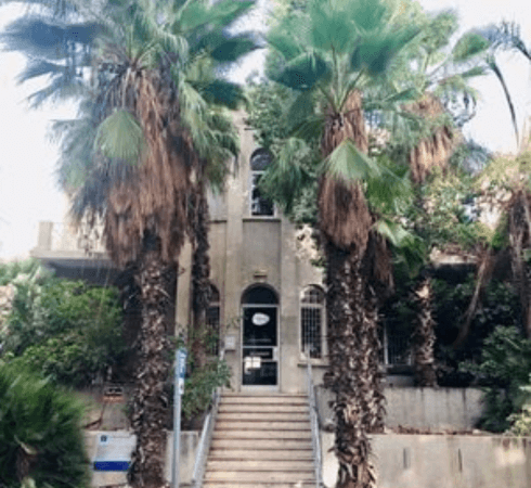 תמונה של עצי דקל בכניסה לבניין