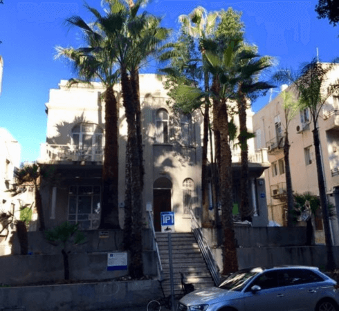 תמונה של עצי דקל בכניסה לבניין